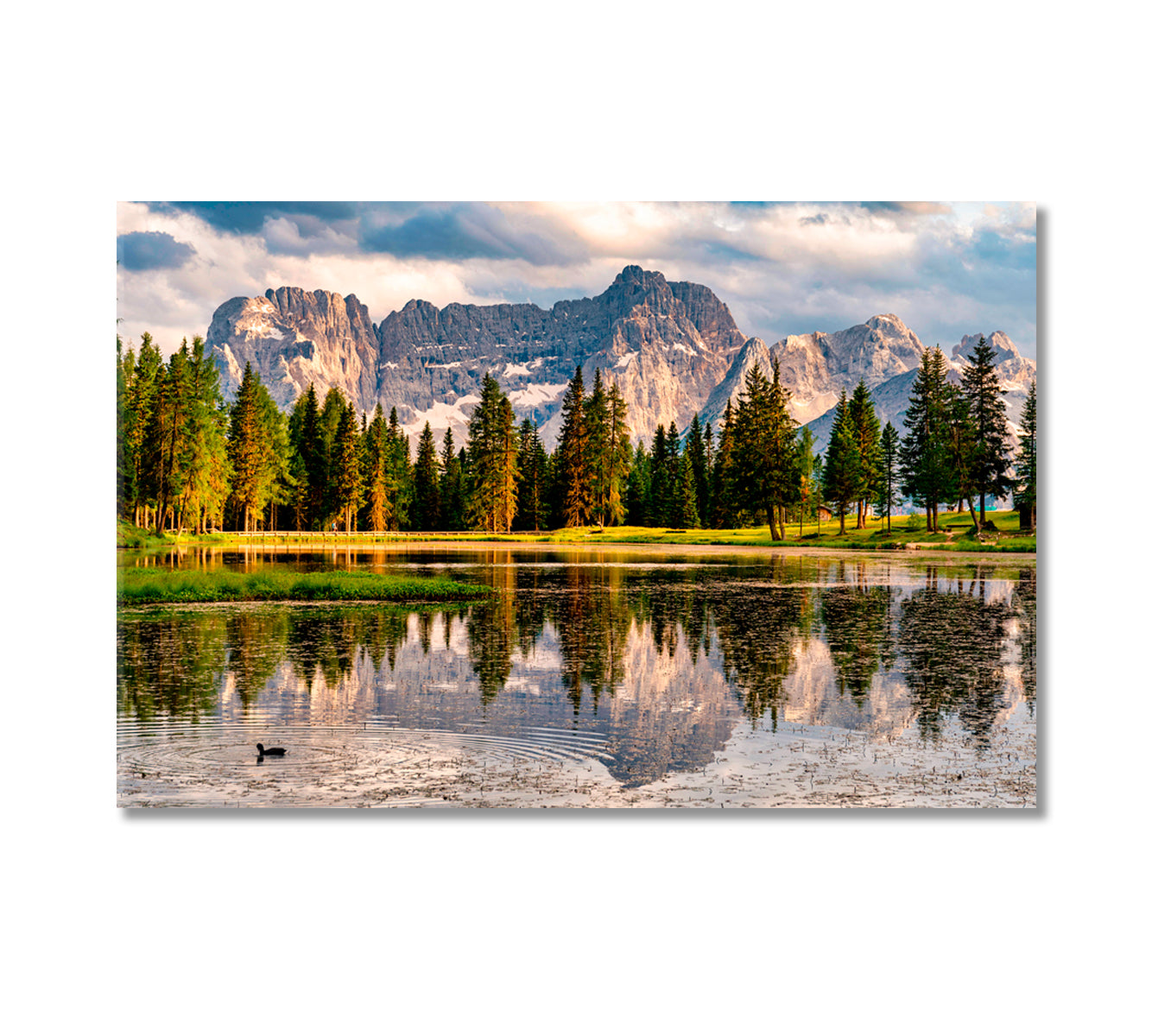 Forest and Mountains Reflection in Antorno Lake Dolomites Alps Canvas Print-Canvas Print-CetArt-1 Panel-24x16 inches-CetArt