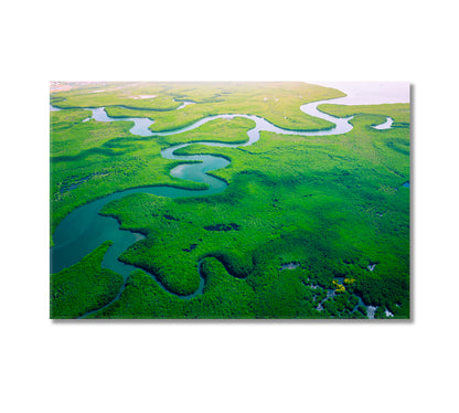 Gambia Mangroves Forest Canvas Print-Canvas Print-CetArt-1 Panel-24x16 inches-CetArt