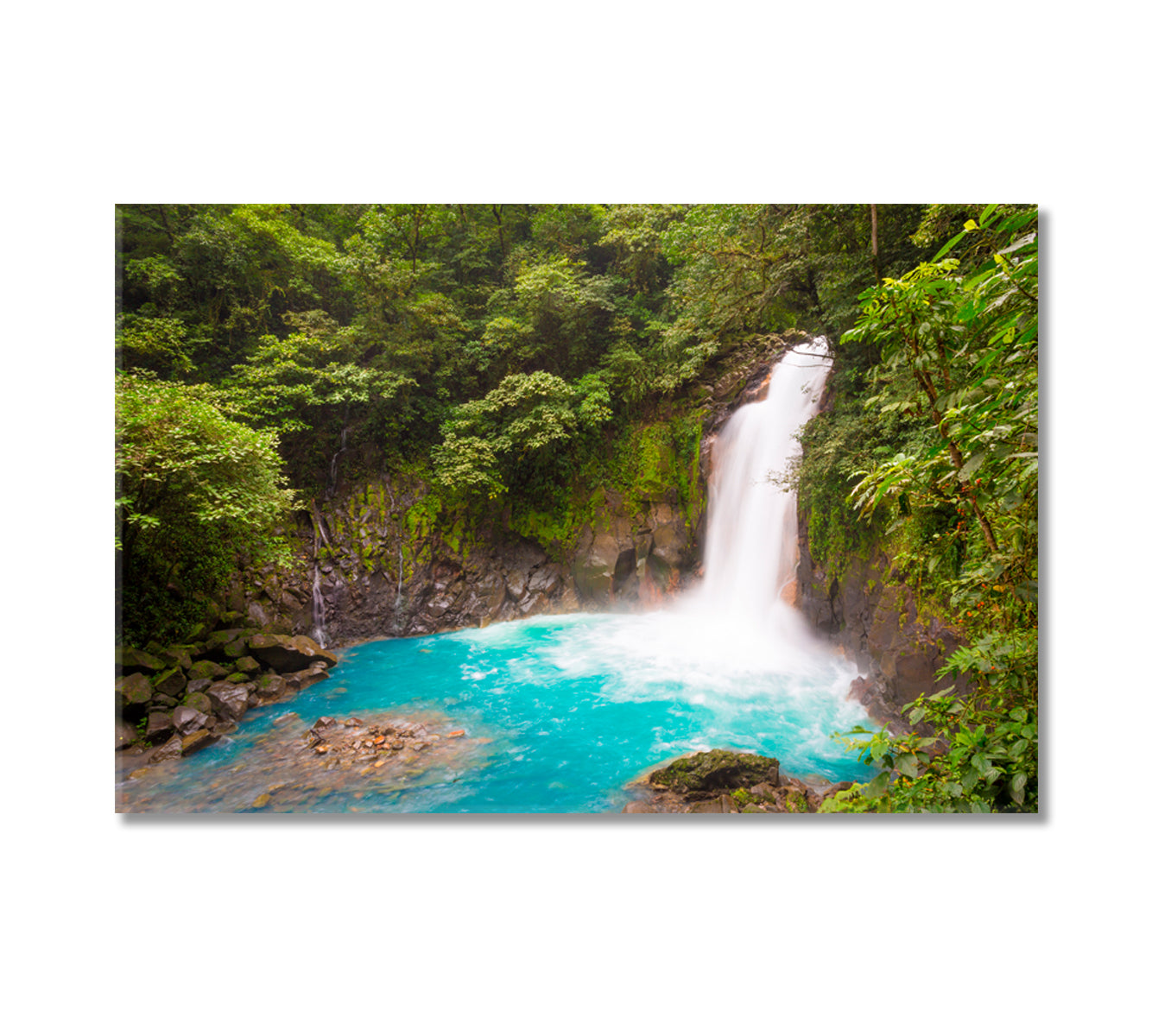 Tenorio Volcano National Park Costa Rica Canvas Print-Canvas Print-CetArt-1 Panel-24x16 inches-CetArt