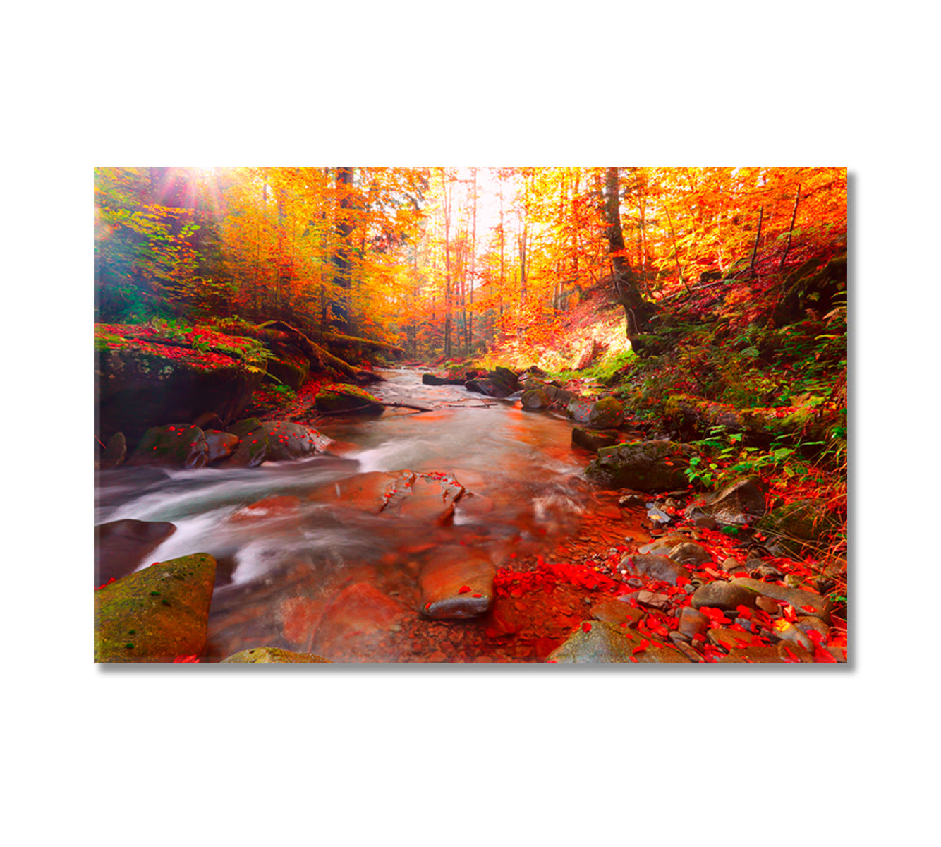 Scenic Autumn Mountain Forest Canvas Print-Canvas Print-CetArt-1 Panel-24x16 inches-CetArt