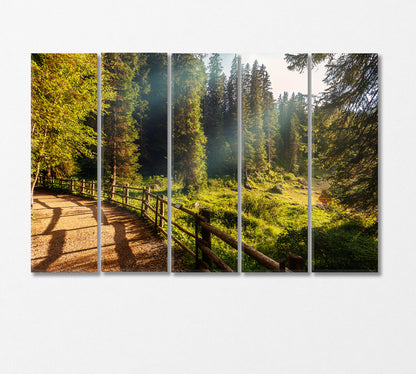 Picturesque Forest in Sunlight Canvas Print-Canvas Print-CetArt-5 Panels-36x24 inches-CetArt