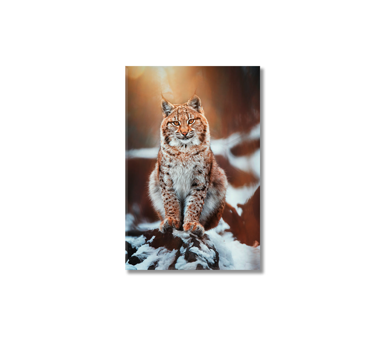 European Lynx in Forest Canvas Print-Canvas Print-CetArt-1 panel-16x24 inches-CetArt