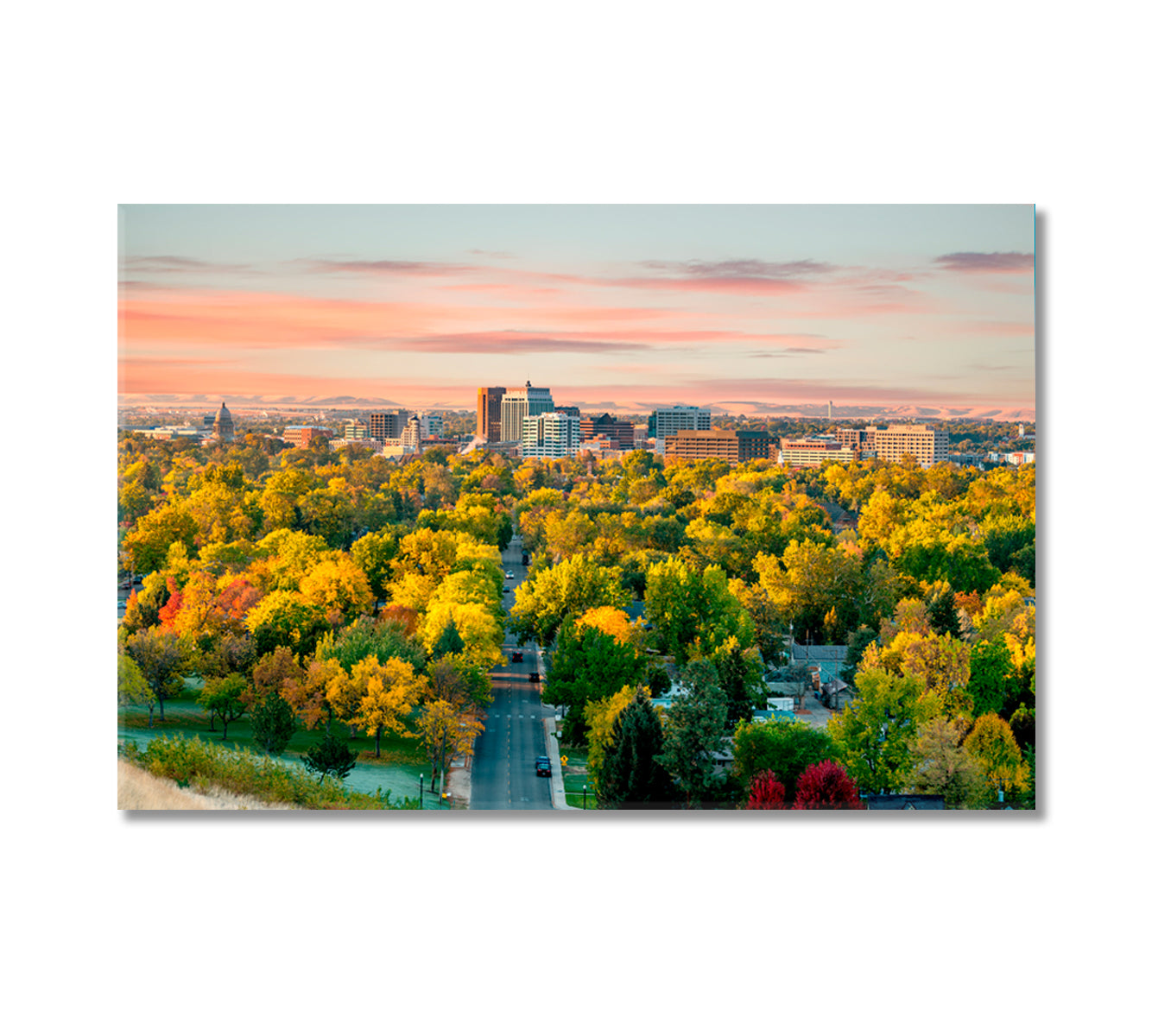 City of Trees Boise Idaho in the Fall Canvas Print-Canvas Print-CetArt-1 Panel-24x16 inches-CetArt