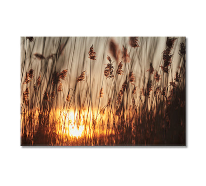 Reeds in Rays of Sun Canvas Print-Canvas Print-CetArt-1 Panel-24x16 inches-CetArt