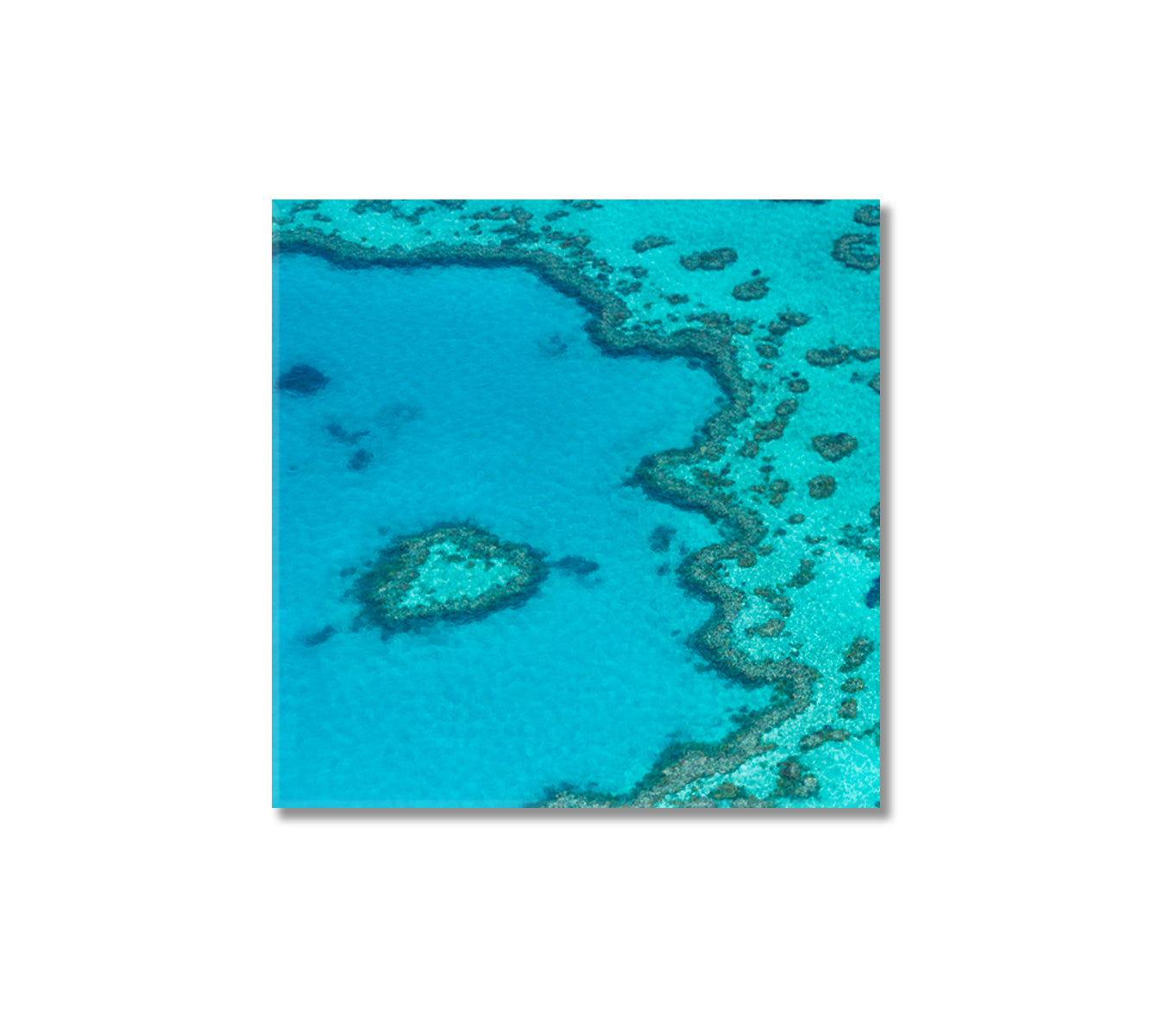 Great Barrier Reef Queensland Australia Canvas Print-Canvas Print-CetArt-1 panel-12x12 inches-CetArt