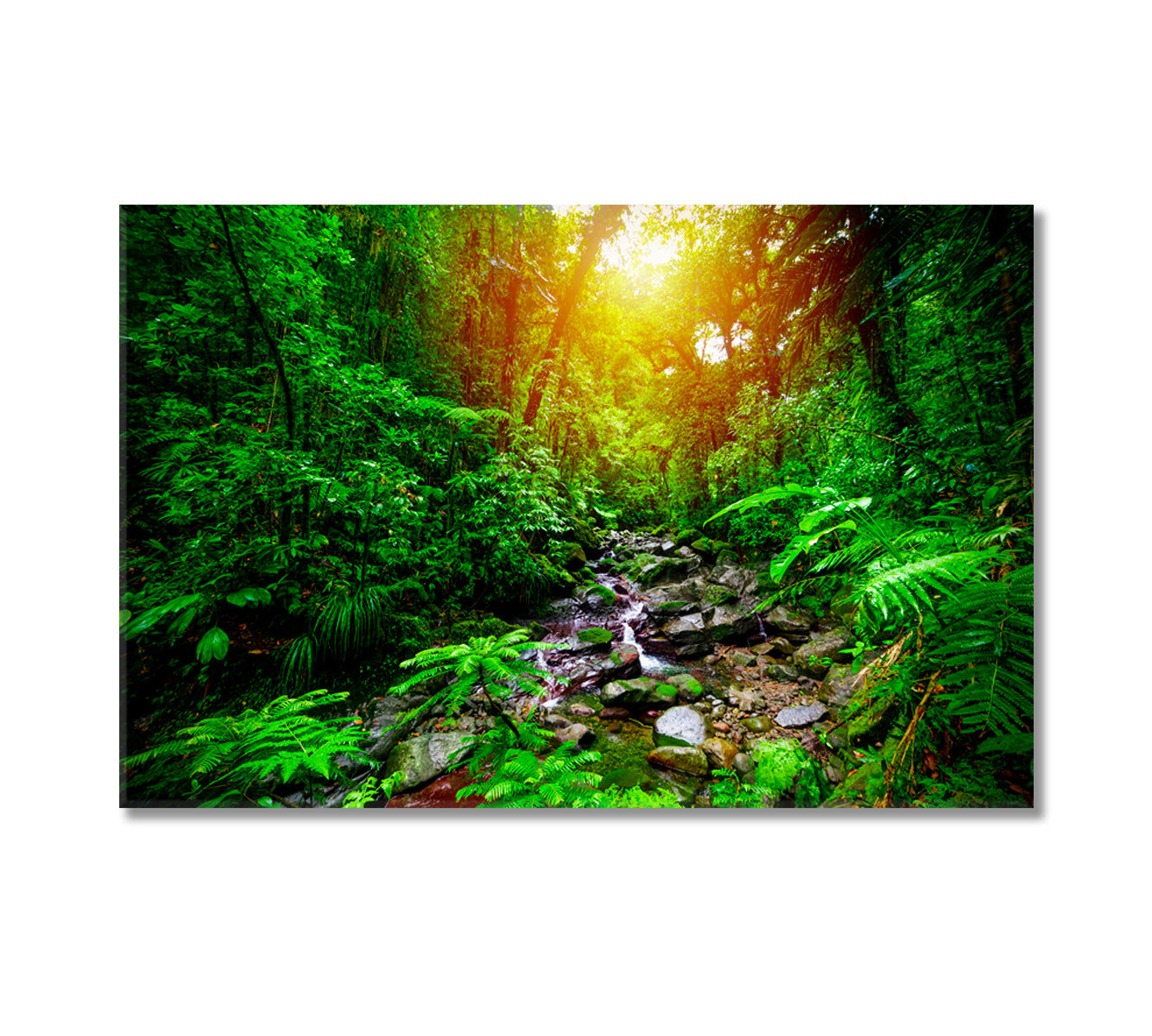 Guadeloupe National Park Canvas Print-Canvas Print-CetArt-1 Panel-24x16 inches-CetArt