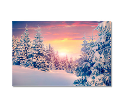 Colorful Winter Sunset in Forest Canvas Print-Canvas Print-CetArt-1 Panel-24x16 inches-CetArt