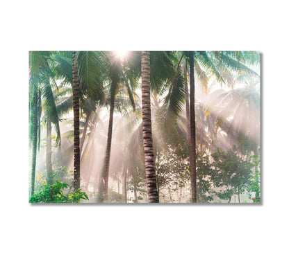 Tropical Palm Tree Forest with Sunbeams Canvas Print-Canvas Print-CetArt-1 Panel-24x16 inches-CetArt