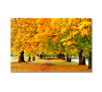 Autumn Park Canvas Print-Canvas Print-CetArt-1 Panel-24x16 inches-CetArt