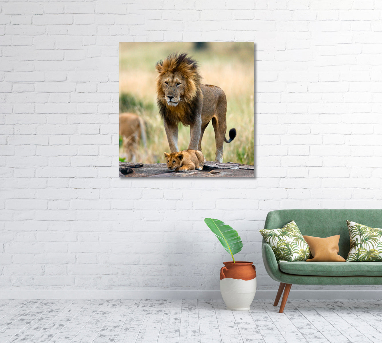 Wild Male Lion with Cub Kenya Canvas Print-Canvas Print-CetArt-1 panel-12x12 inches-CetArt