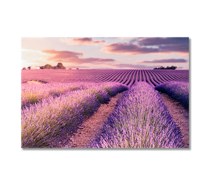 Provence Lavender Field at Sunrise France Canvas Print-Canvas Print-CetArt-1 Panel-24x16 inches-CetArt