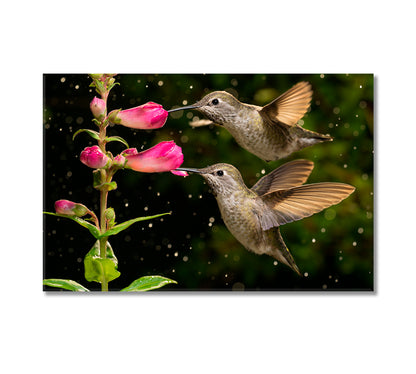 Hummingbird With Flowers Canvas Print-Canvas Print-CetArt-1 Panel-24x16 inches-CetArt