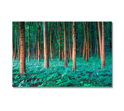 Oak Forest Canvas Print-Canvas Print-CetArt-1 Panel-24x16 inches-CetArt