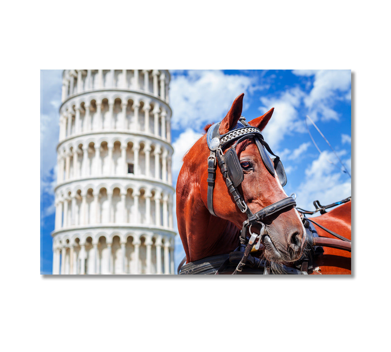 Horse and Leaning Tower of Pisa Canvas Print-Canvas Print-CetArt-1 Panel-24x16 inches-CetArt