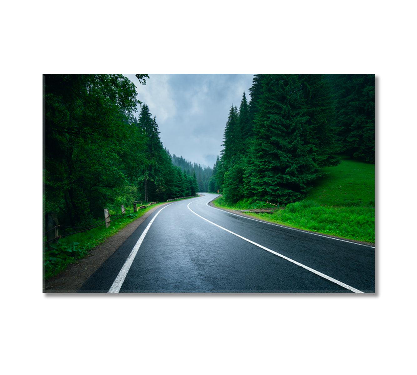 Road in Foggy Forest in Rainy Day Canvas Print-Canvas Print-CetArt-1 Panel-24x16 inches-CetArt