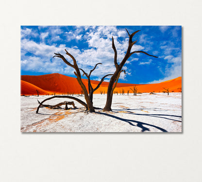 Dead Camel Thorns Trees in Namib Desert Africa Canvas Print-Canvas Print-CetArt-1 Panel-24x16 inches-CetArt