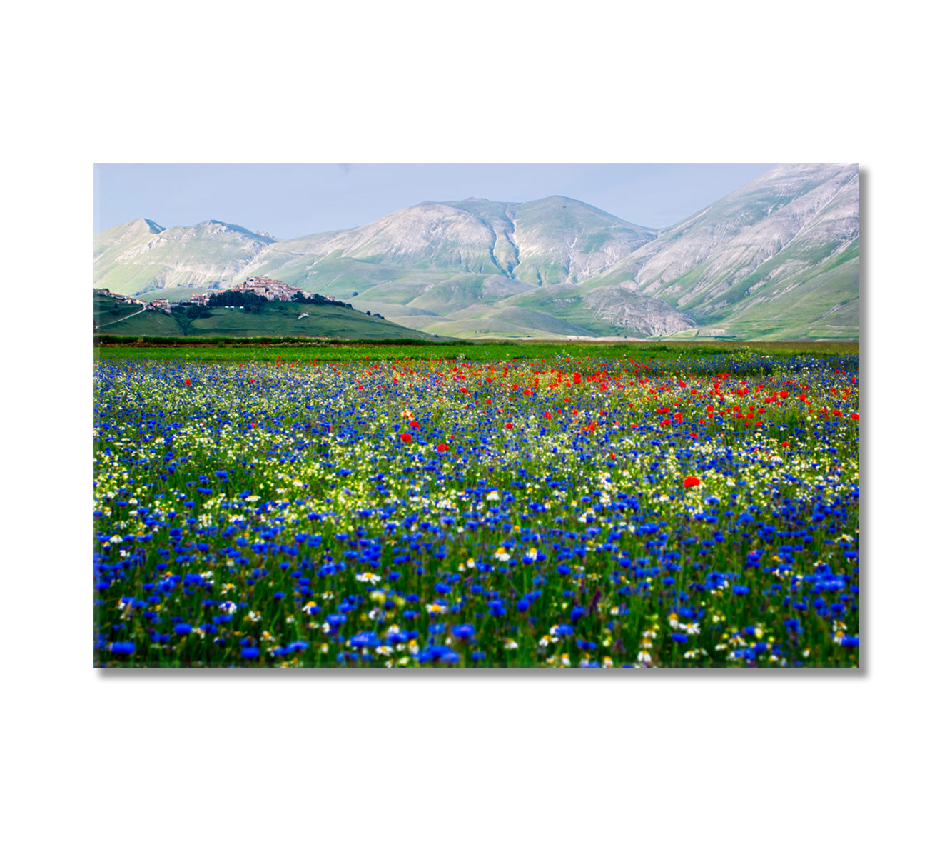 Castelluccio di Norcia Piana Grande Valley Umbria Italy Canvas Print-Canvas Print-CetArt-1 Panel-24x16 inches-CetArt