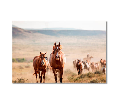 Pryor Mountain Horses Canvas Print-Canvas Print-CetArt-1 Panel-24x16 inches-CetArt