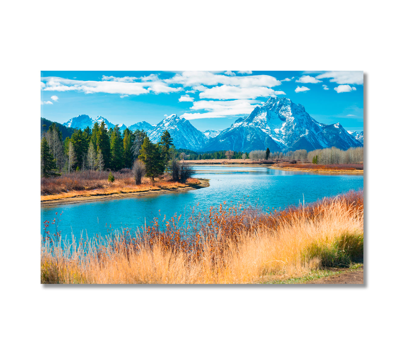 Grand Teton National Park Wyoming USA Canvas Print-Canvas Print-CetArt-1 Panel-24x16 inches-CetArt