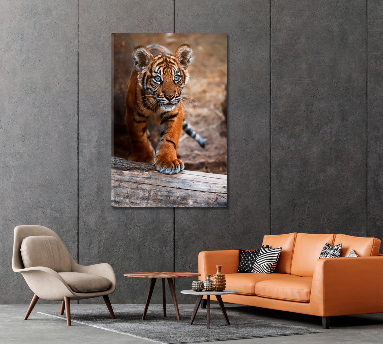 Sumatran Tiger Cub Canvas Print-Canvas Print-CetArt-1 panel-16x24 inches-CetArt