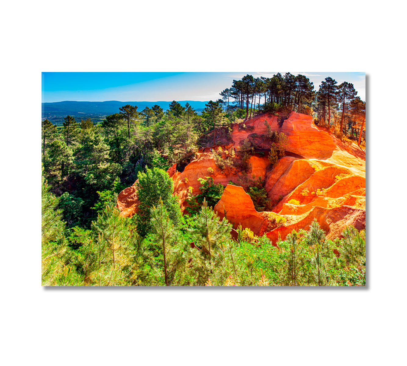 Dense Rocky Forest France Canvas Print-Canvas Print-CetArt-1 Panel-24x16 inches-CetArt