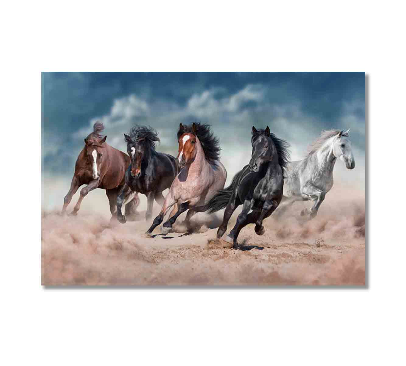 Beautiful Strong Horses Running in Desert Canvas Print-Canvas Print-CetArt-1 Panel-24x16 inches-CetArt