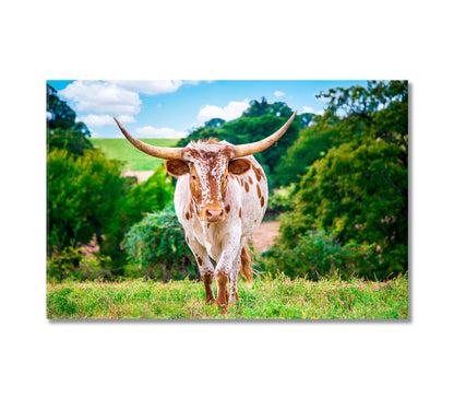 Texas Longhorn Cattle in a Summer Pasture Canvas Print-Canvas Print-CetArt-1 Panel-24x16 inches-CetArt