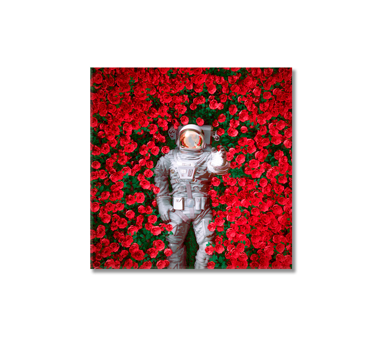 Spaceman in Red Roses Canvas Print-Canvas Print-CetArt-1 panel-12x12 inches-CetArt