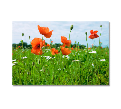 Wildflowers Canvas Print-Canvas Print-CetArt-1 Panel-24x16 inches-CetArt