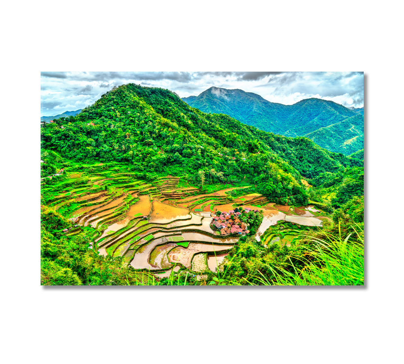 Bangaan Rice Terraces Philippines Canvas Print-Canvas Print-CetArt-1 Panel-24x16 inches-CetArt