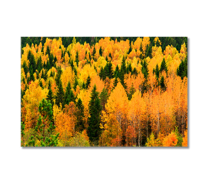 Autumn Forest with Yellow and Green Trees Canvas Print-Canvas Print-CetArt-1 Panel-24x16 inches-CetArt