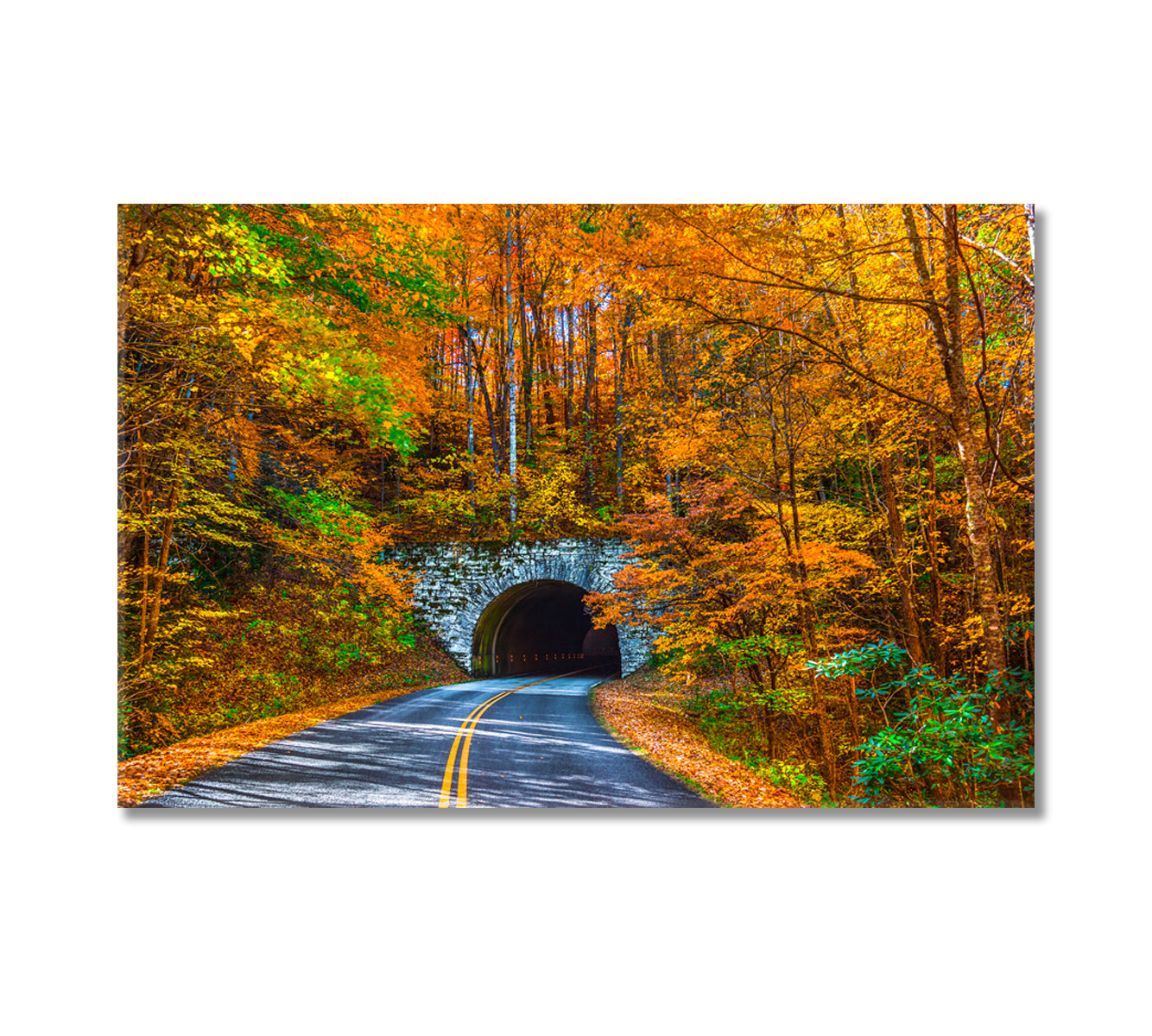 Blue Ridge Parkway Tunnel During Fall North Carolina Canvas Print-Canvas Print-CetArt-1 Panel-24x16 inches-CetArt