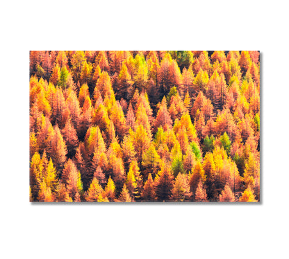 Beautiful Autumn Forest Swiss Alps Canvas Print-Canvas Print-CetArt-1 Panel-24x16 inches-CetArt