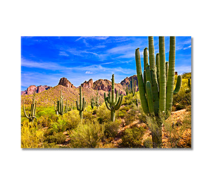 Saguaro Cactus in Sonoran Desert Arizona Canvas Print-Canvas Print-CetArt-1 Panel-24x16 inches-CetArt