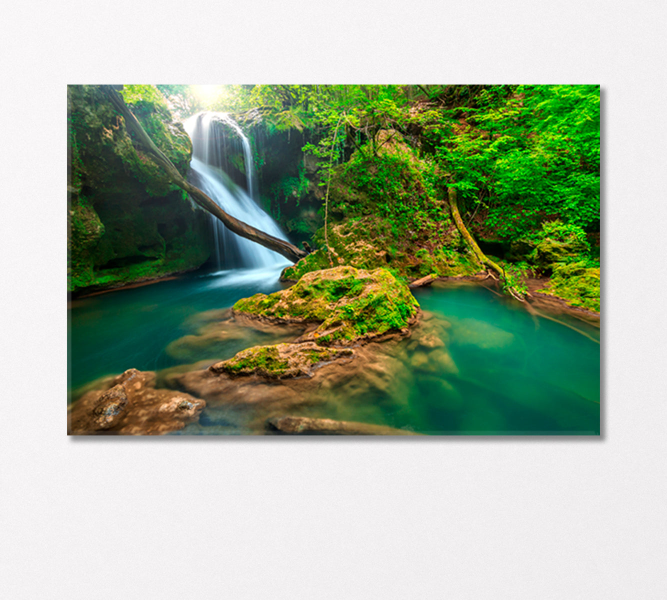 Vaioaga Falls in Beusnita National Park Romania Canvas Print-Canvas Print-CetArt-1 Panel-24x16 inches-CetArt