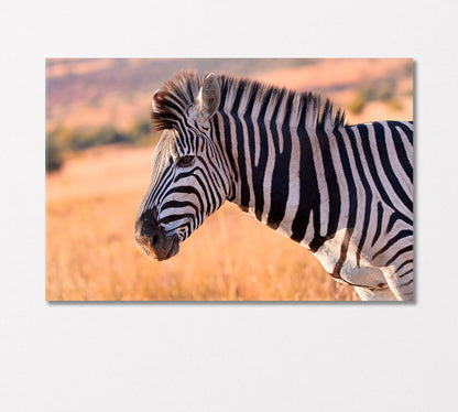 Portrait of Zebra Canvas Print-Canvas Print-CetArt-1 Panel-24x16 inches-CetArt