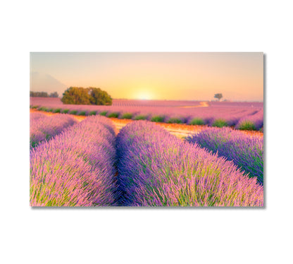 Sunrise over Lavender Fields Provence France Canvas Print-Canvas Print-CetArt-1 Panel-24x16 inches-CetArt