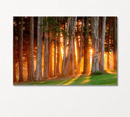 Sunset Sun Rays Breaking Through Trees Canvas Print-Canvas Print-CetArt-1 Panel-24x16 inches-CetArt