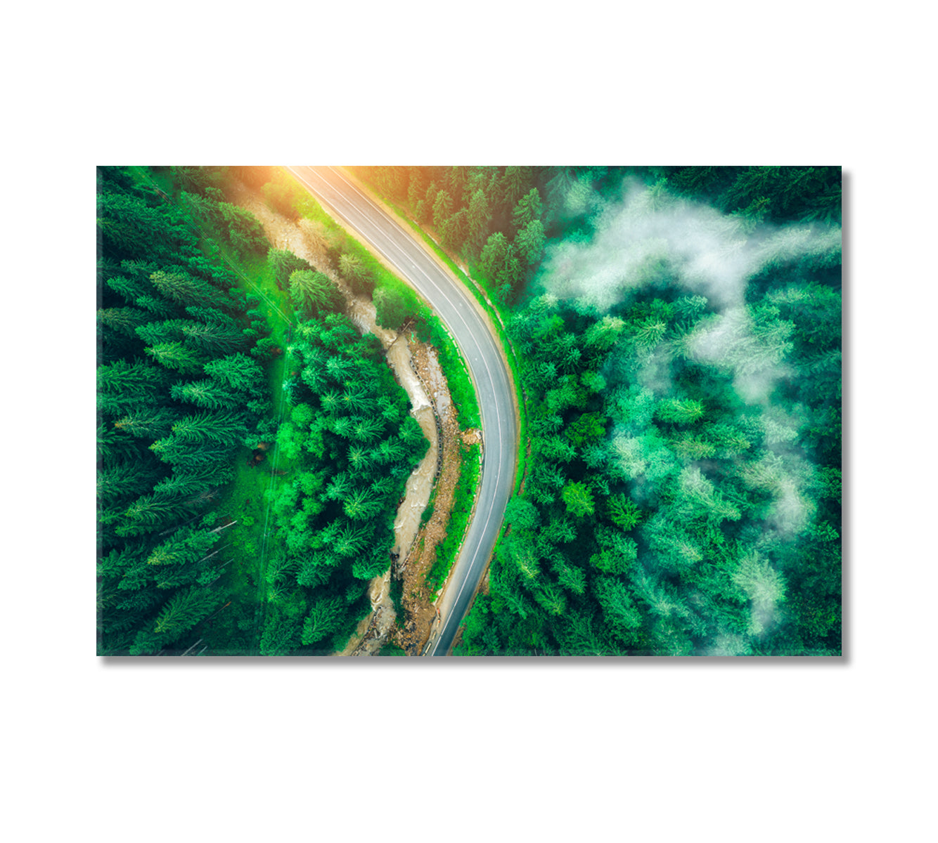 Road in Beautiful Green Pine Forest Carpathian Mountains Ukraine Canvas Print-Canvas Print-CetArt-1 Panel-24x16 inches-CetArt