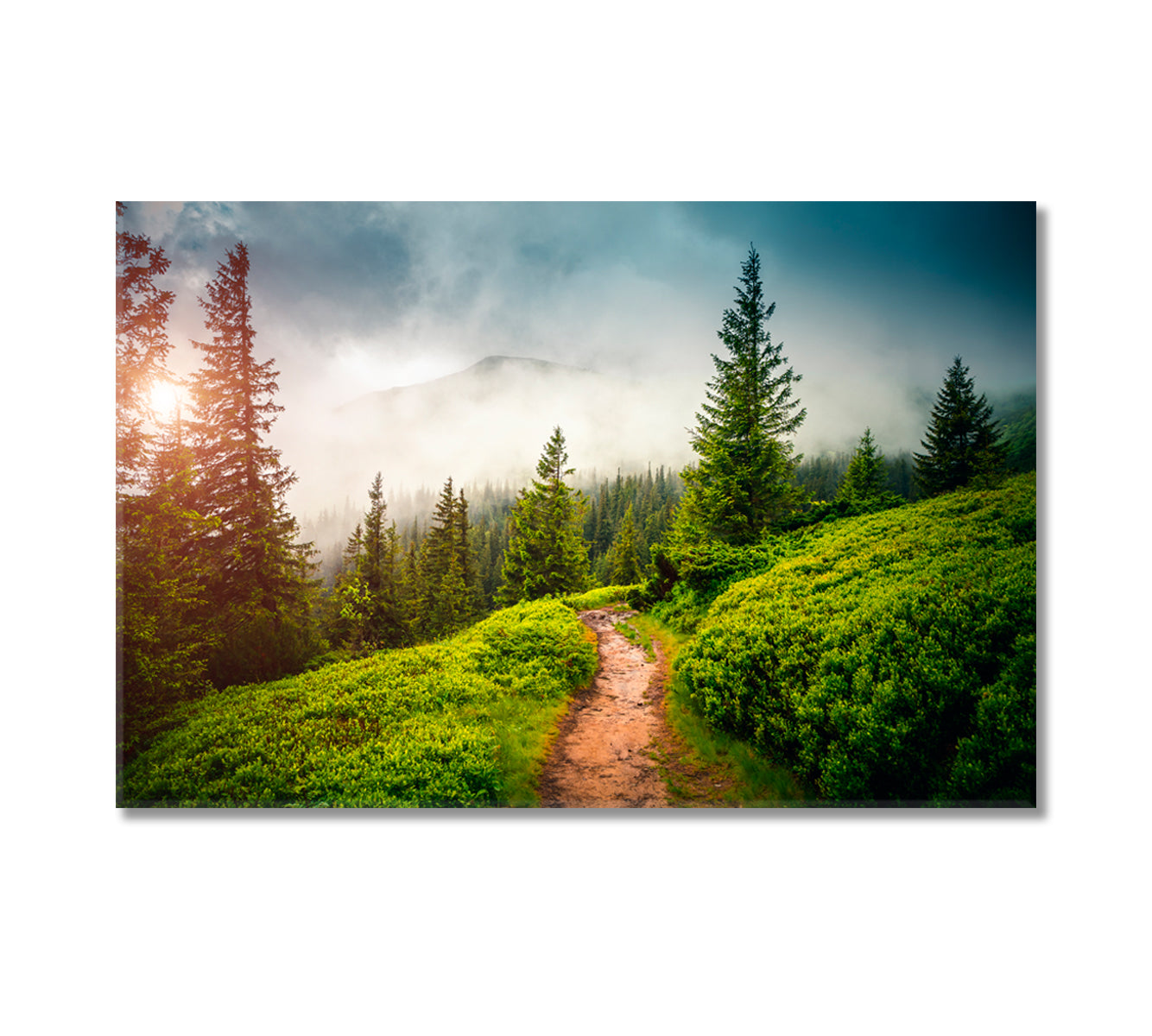 Foggy Morning in the Ukrainian Carpathian Mountains Canvas Print-Canvas Print-CetArt-1 Panel-24x16 inches-CetArt