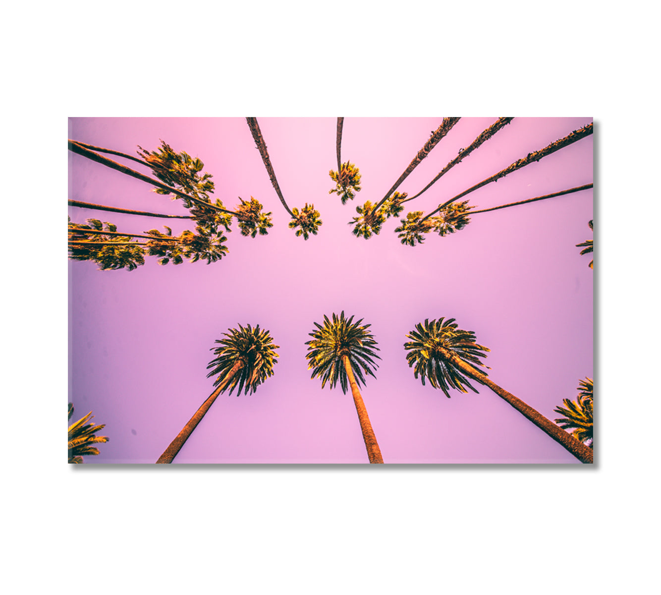 Stunning Purple Sky with Palm Trees Canvas Print-Canvas Print-CetArt-1 Panel-24x16 inches-CetArt