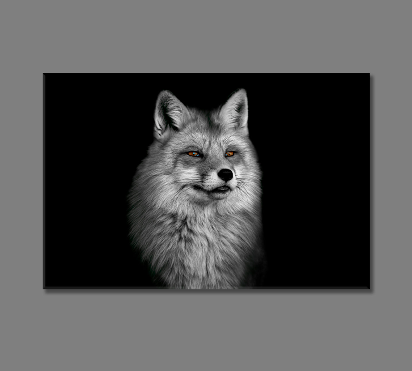 Beautiful Fox Portrait in Black and White Canvas Print-Canvas Print-CetArt-1 Panel-24x16 inches-CetArt