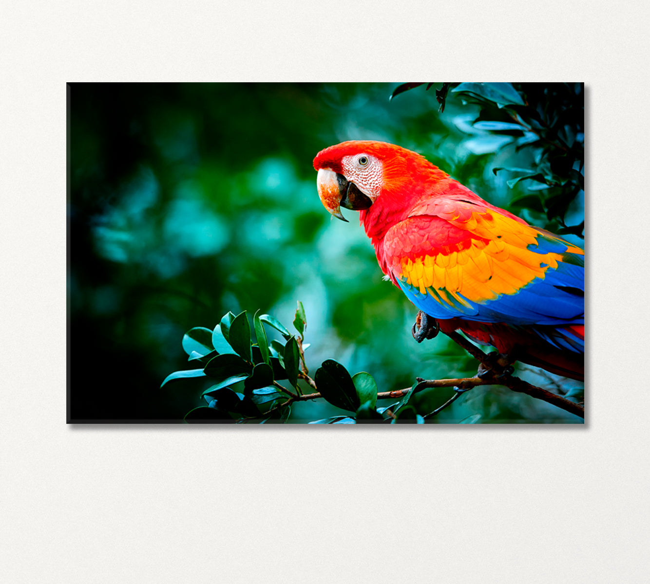 Big Colorful Parrot Macaw Canvas Print-Canvas Print-CetArt-1 Panel-24x16 inches-CetArt