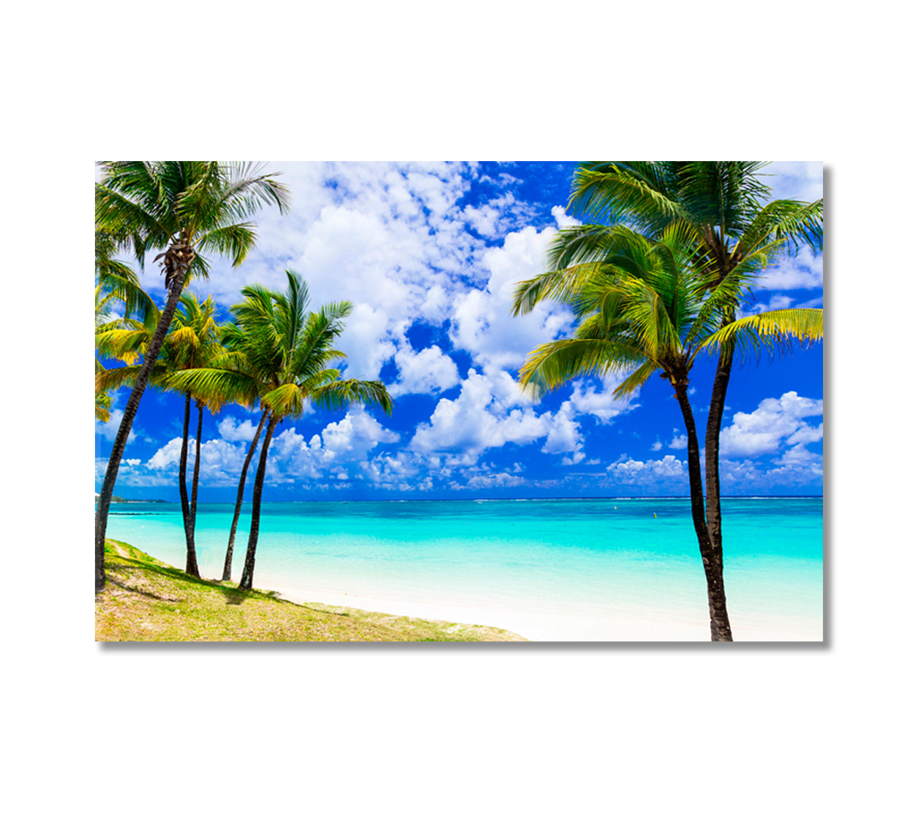 Beautiful Palm Beach with Turquoise Ocean Mauritius Canvas Print-Canvas Print-CetArt-1 Panel-24x16 inches-CetArt