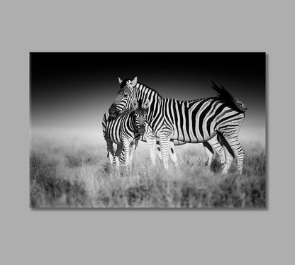 Zebra Mother and Foal in Black and White Canvas Print-Canvas Print-CetArt-1 Panel-24x16 inches-CetArt