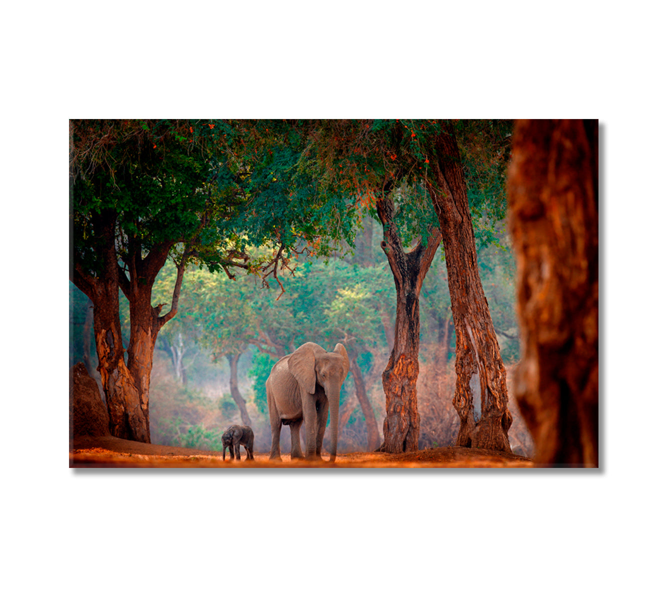 Elephant with Baby in Forest Mana Pools NP Zimbabwe Africa Canvas Print-Canvas Print-CetArt-1 Panel-24x16 inches-CetArt