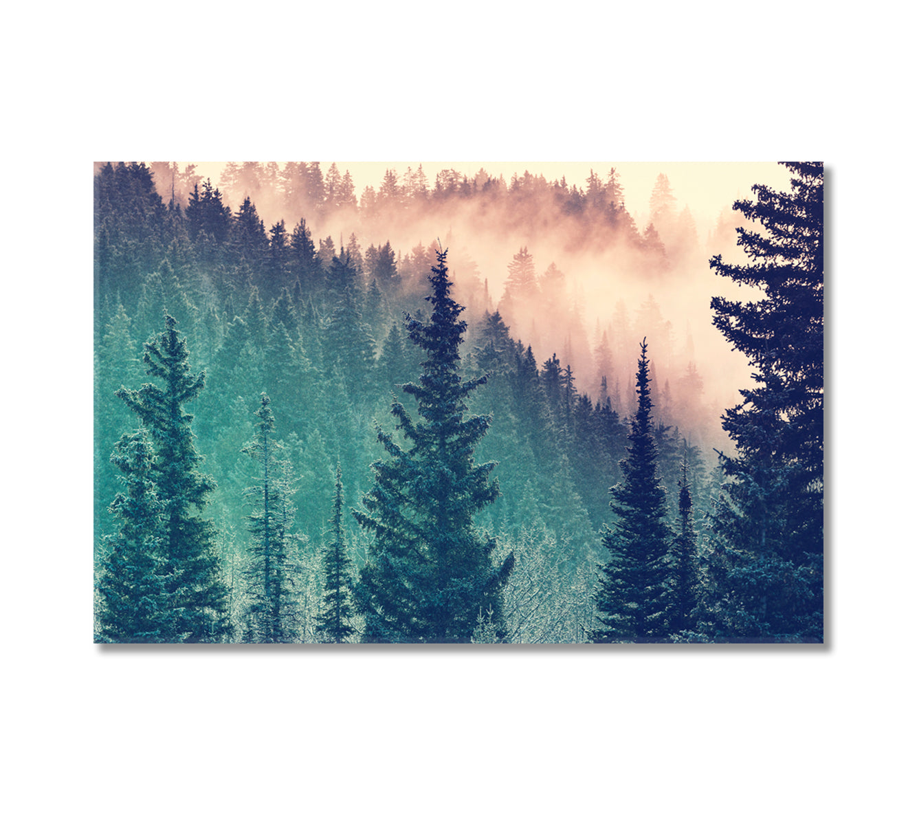 Magic Misty Forest in Morning Canvas Print-Canvas Print-CetArt-1 Panel-24x16 inches-CetArt