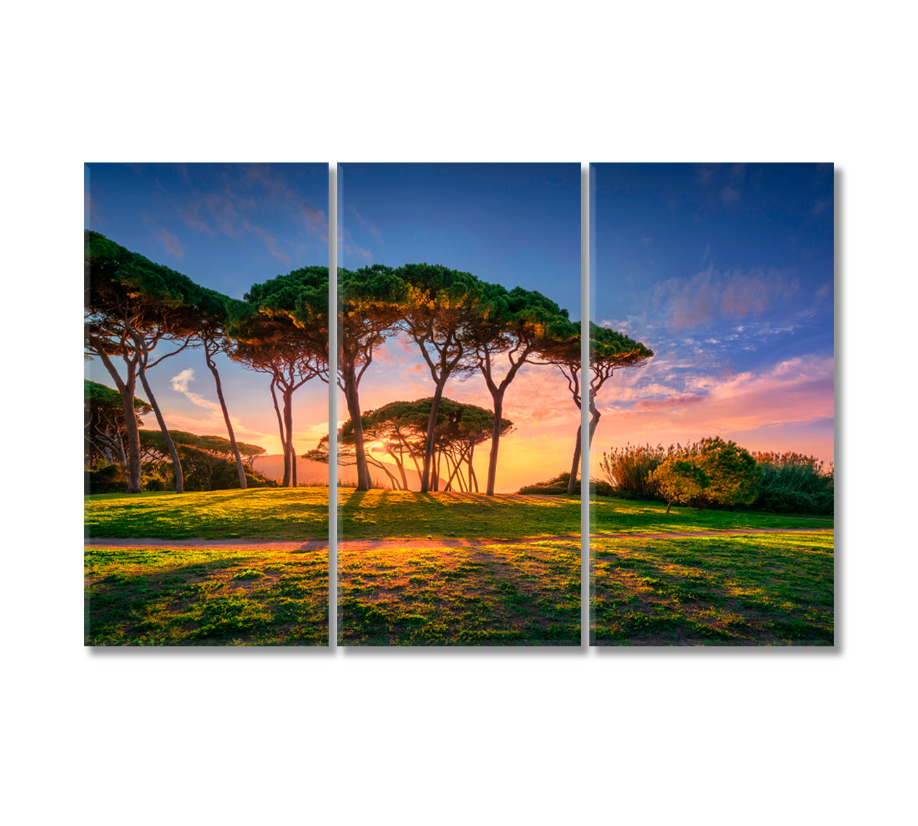 Seaside Pines at Sunset Canvas Print-Canvas Print-CetArt-3 Panels-36x24 inches-CetArt