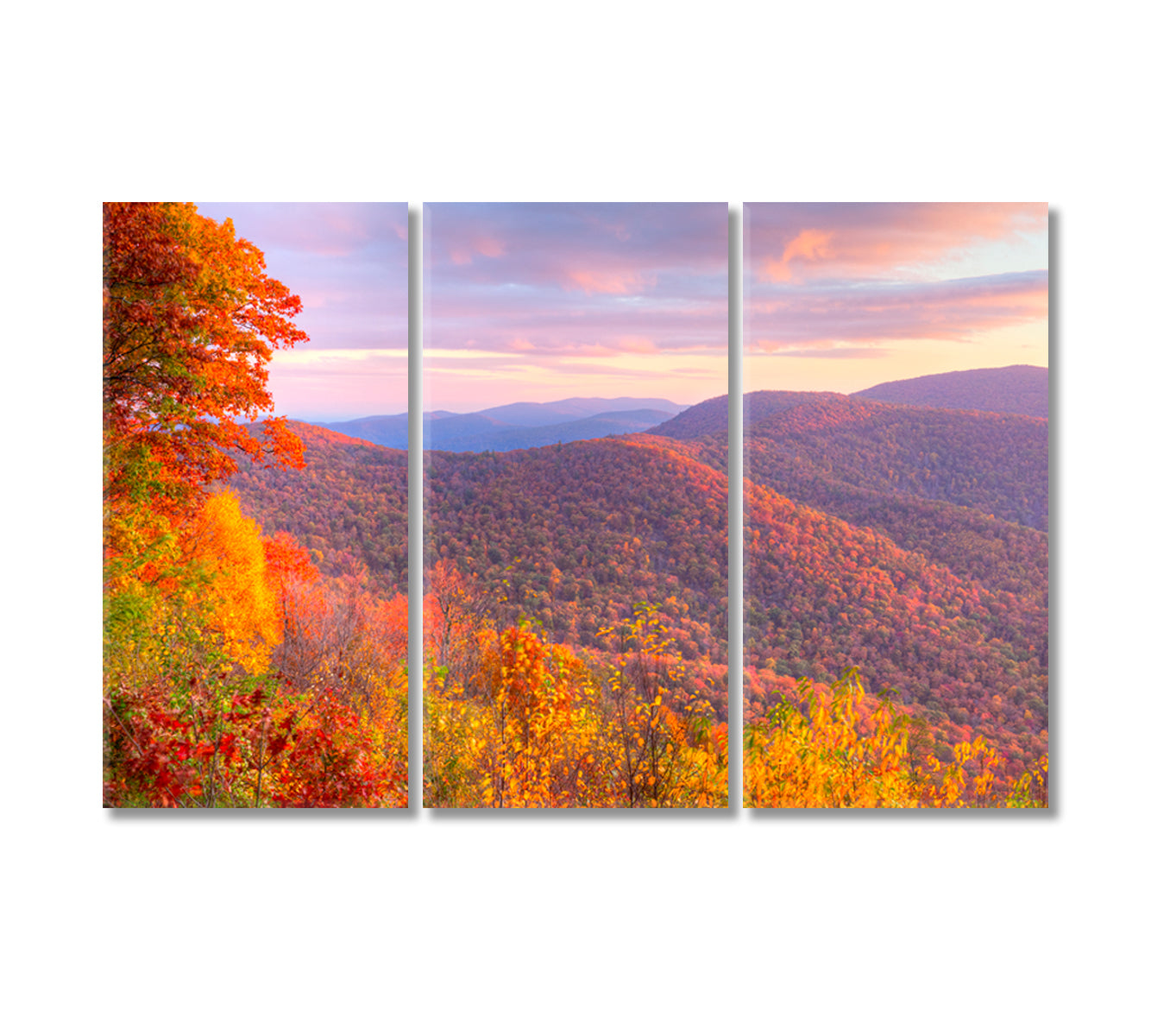 Fall in Shenandoah National Park Canvas Print-Canvas Print-CetArt-3 Panels-36x24 inches-CetArt