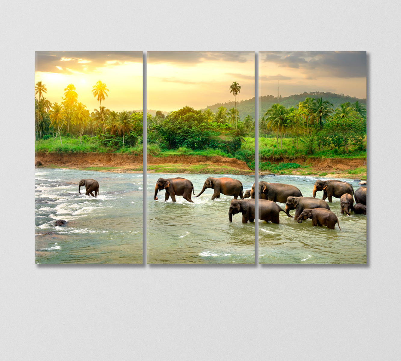 Herd of Elephants in River Canvas Print-Canvas Print-CetArt-3 Panels-36x24 inches-CetArt